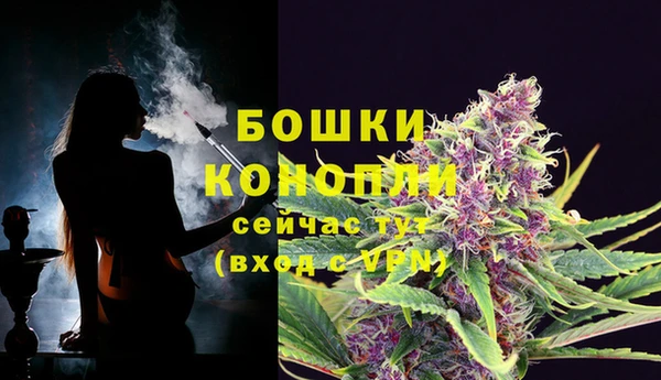 spice Абаза