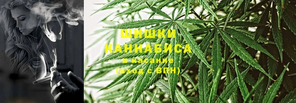spice Абаза
