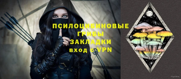 spice Абаза