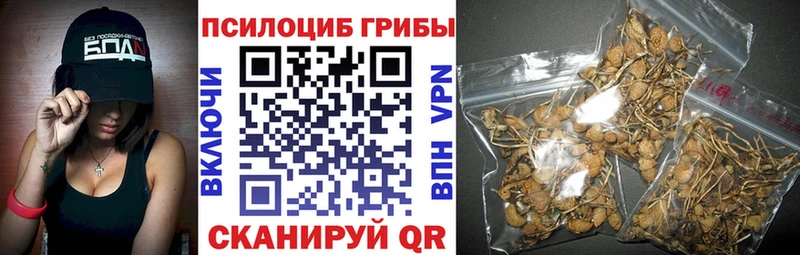 Галлюциногенные грибы мицелий  Шенкурск 