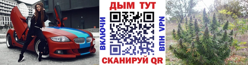blacksprut как зайти  Шенкурск  Каннабис White Widow 